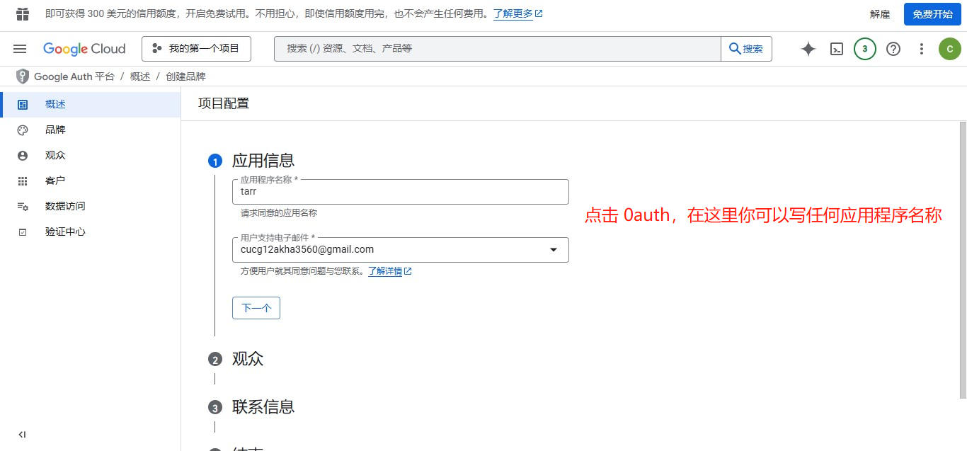 在 Google 云端控制台中输入应用名称